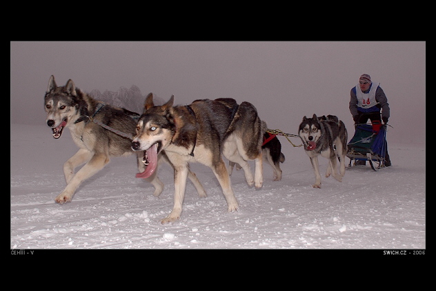 Musher musí mít srdce bojovníka (2)