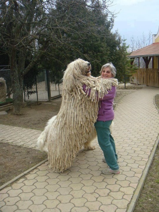 Máme doma obra